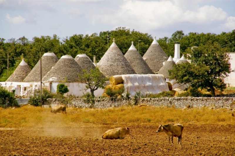 Tour in Puglia tra antichi borghi e masserie 