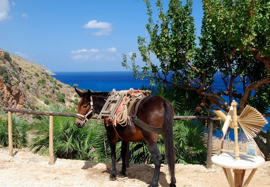 Tour sapori e colori nella Sicilia occidentale 