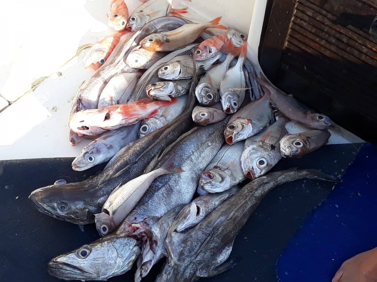 Pesca di altura nel Salento 