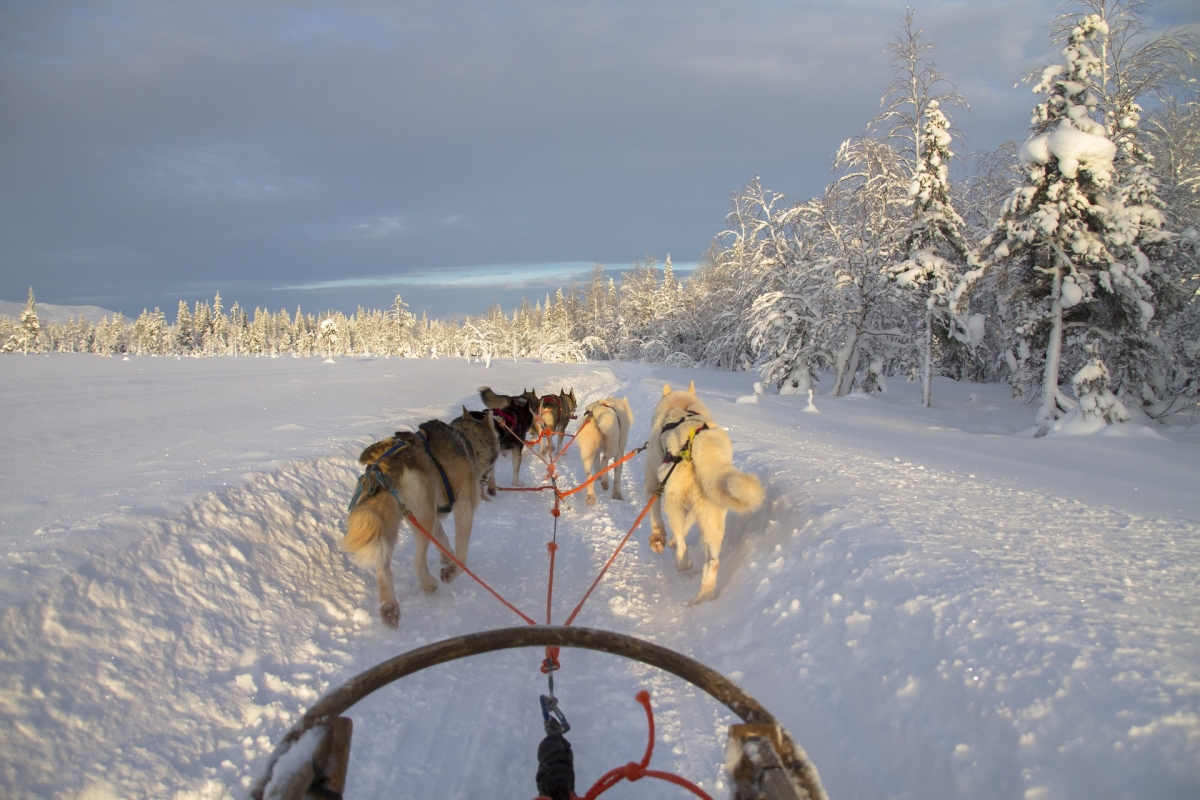 Tour nella Lapponia finlandese 