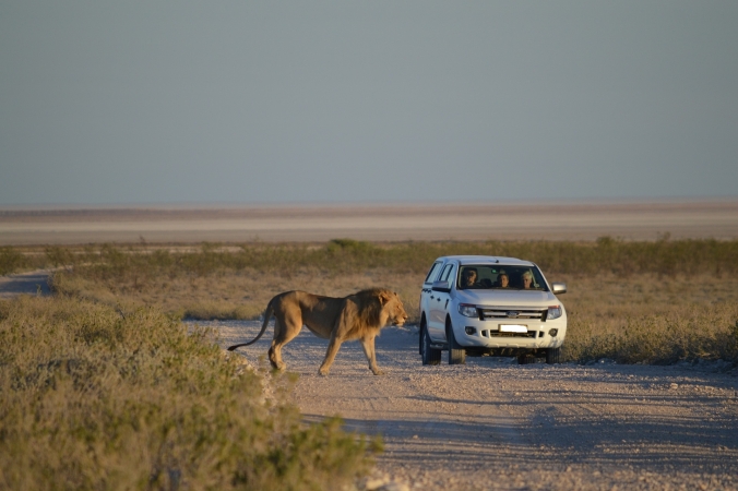 Self Drive Namibia  Esperienza Namibiana TOUR AFRICA