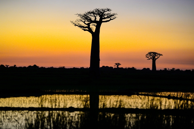 L'Ovest del madagascar TOUR AFRICA